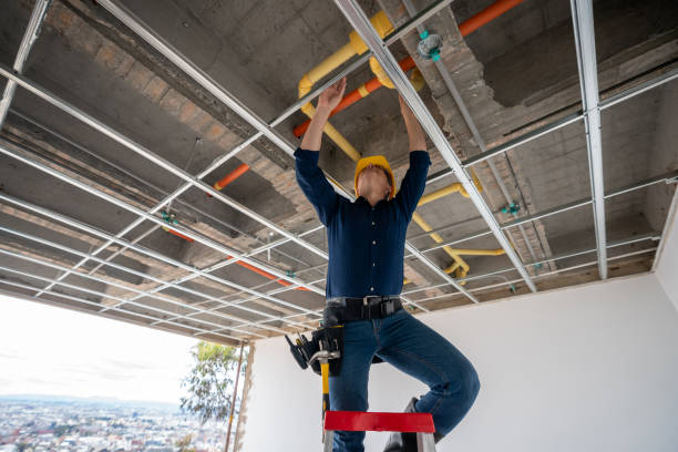 Best Plumbing Inspection Services  in Grant, AL